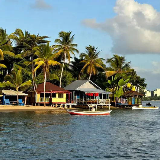 Seis vistas imperdíveis na Ilha das Onças em Belém - PA