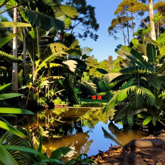 Área de Proteção Ambiental do Marajó: Um Refúgio Natural Área de Proteção Ambiental do Marajó: Um Refúgio Natural
