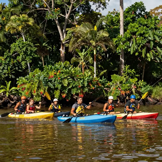 Aventura na Canoagem em Belém: Explore os Rios e Igapós