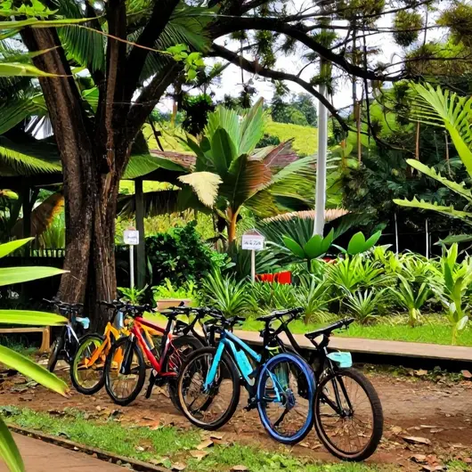 Biclas Belém