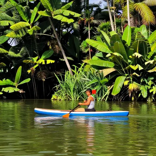 Canoagem em Belém: Uma Aventura na Natureza Amazônica