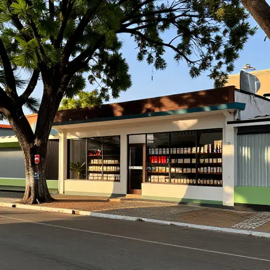 Conveniencia Batista Campos: Um Ponto de Parada Essencial