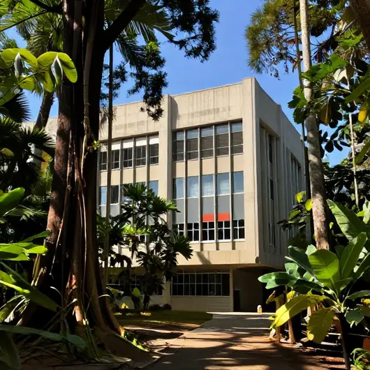 Descubra a Fundação Estadual dos Povos Indígenas do Amazonas