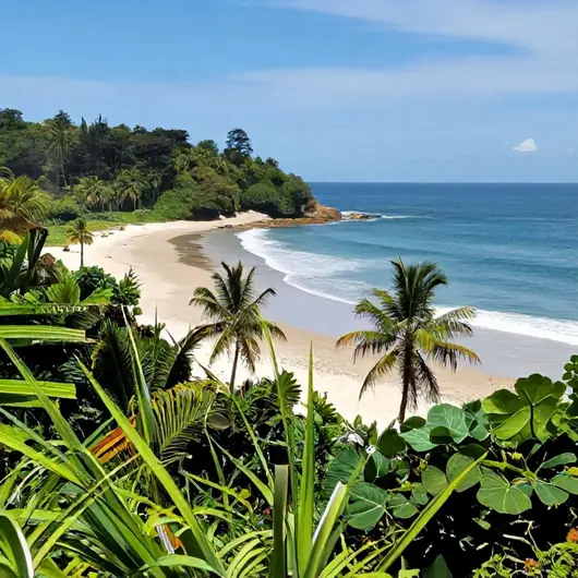Descubra a Ilha De Cotijuba