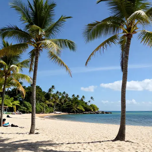 Descubra a Praia do Chapéu Virado em Belém - PA