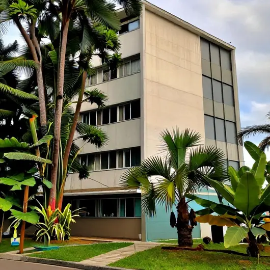 Descubra a Secretaria dos Povos Indígenas do Pará