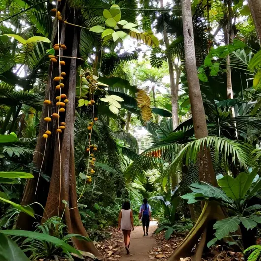 Descubra a Trilha do Cacau: Uma Experiência Amazônica em Belém Descubra a Trilha do Cacau: Uma Experiência Amazônica em Belém