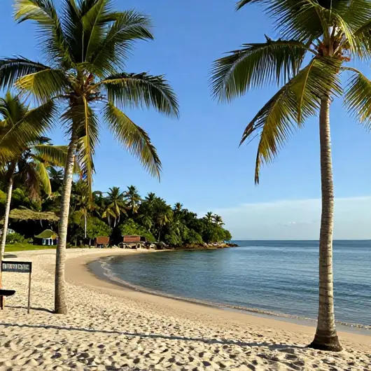 Descubra Algodoal: O Paraíso Escondido do Brasil