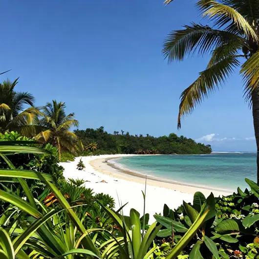 Descubra as Belezas da Ilha de Mosqueiro em Belém - PA