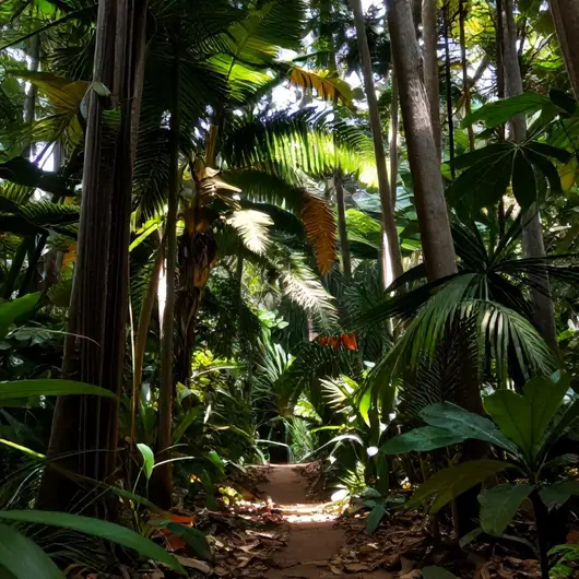 Descubra o Bosque Rodrigues Alves: Um Refúgio Verde em Belém - PA