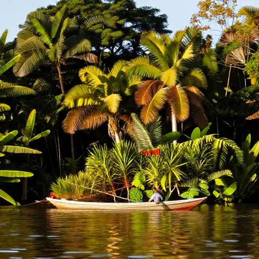 Descubra o Encanto do Rio Guamá em Belém - PA