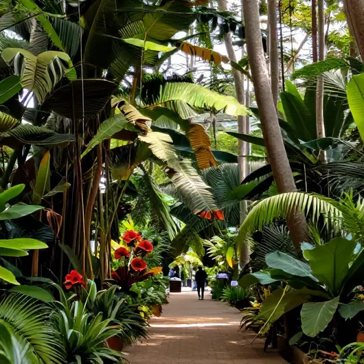 Descubra o Jardim Botânico da Amazônia em Belém - PA