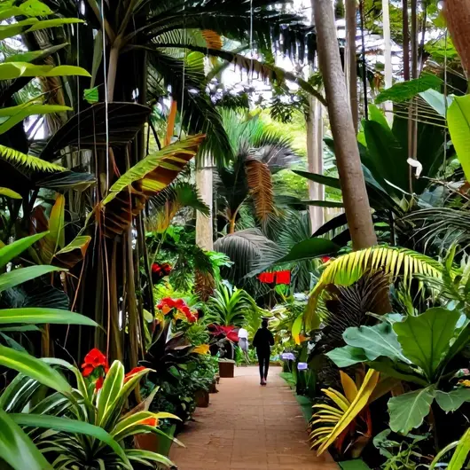 Descubra o Jardim Botânico da Amazônia em Belém - PA