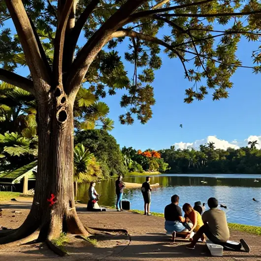Descubra o Mangal das Garças: O Oasis Verde de Belém