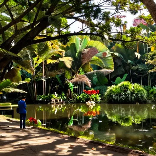 Descubra o Mangal das Garças: Um Refúgio Verde em Belém