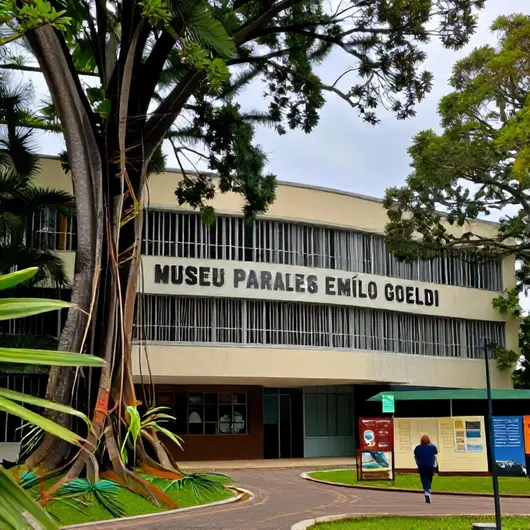 Descubra o Museu Paraense Emílio Goeldi: Cultura e História na Amazônia