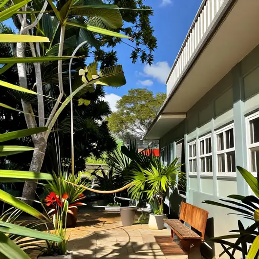 Descubra o Núcleo de Meio Ambiente