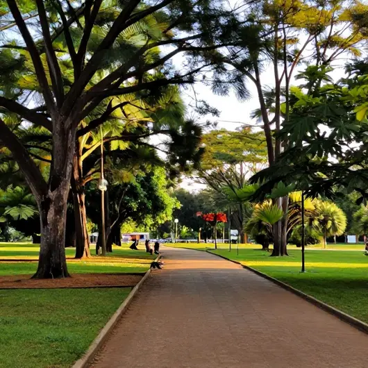 Descubra o Parque Da Cidade