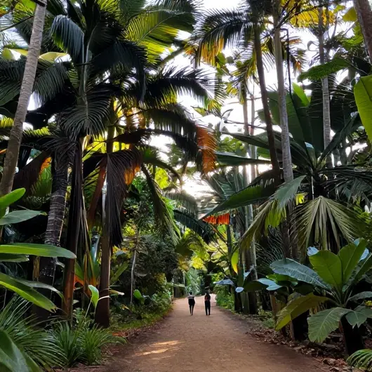 Descubra o Parque Estadual do Utinga em Belém - PA: Natureza e Lazer