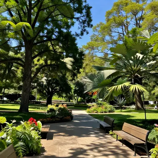 Descubra o PARQUE VERDE
