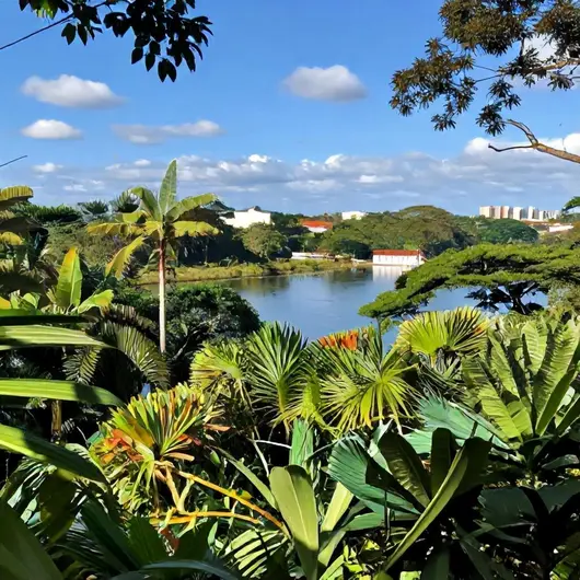 Descubra o Portal da Amazônia: Um Guia Completo sobre Belém - PA