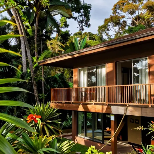 Descubra o ReservAmazon Forest Hotel