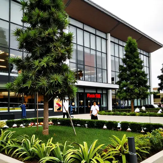 Descubra o Shopping Pátio Belém