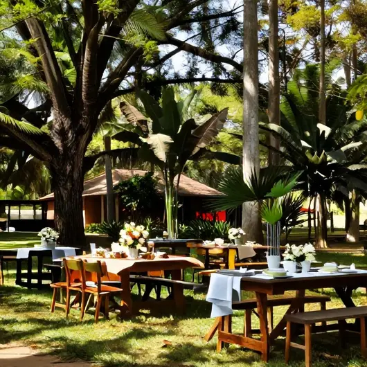Descubra o Sitio Dom Pedro Eventos