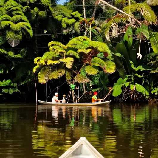 Descubra os Encantos dos Passeios Ribeirinhos em Belém – PA Descubra os Encantos dos Passeios Ribeirinhos em Belém - PA