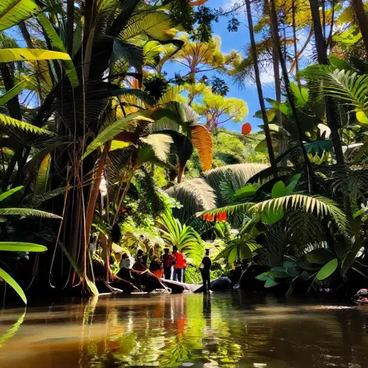 Descubra os Melhores Passeios Ecológicos em Belém – PA Descubra os Melhores Passeios Ecológicos em Belém - PA