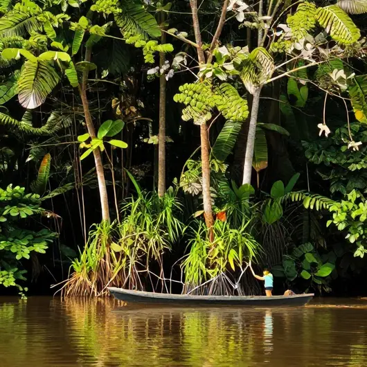 Excursões pela natureza e vida selvagem em Belém