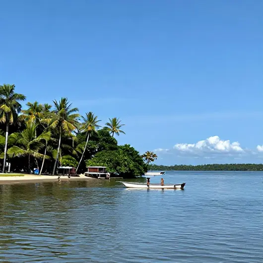 Explorando a Baía do Guajará: Oásis Natural de Belém