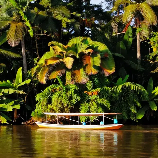 Explorando as Belezas com a Amazon Star Turismo