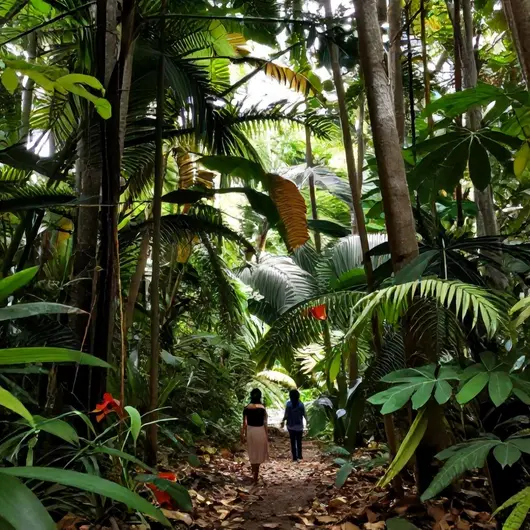 Explorando as Trilhas de Aventura em Belém – PA Explorando as Trilhas de Aventura em Belém - PA
