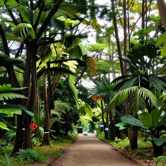Explorando o Bosque Rodrigues Alves: Um Refúgio Verde em Belém