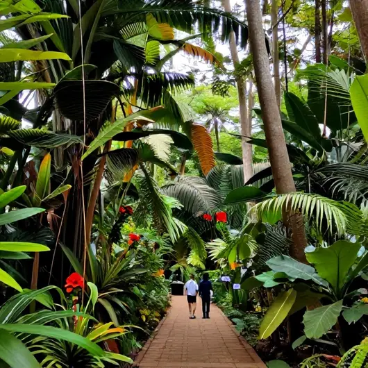 Explorando o Jardim Botânico da Amazônia em Belém - PA