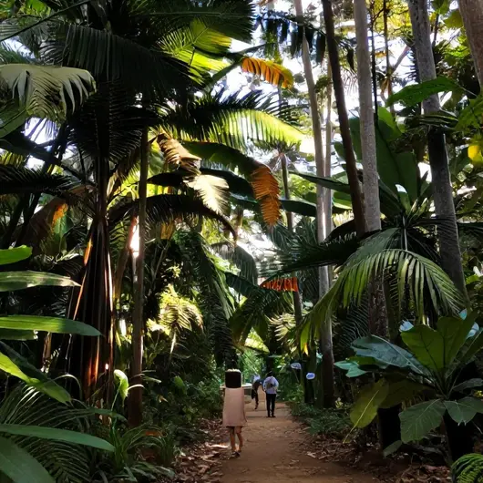 Explorando o Parque Estadual do Utinga em Belém - PA