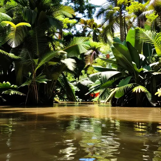 Explorando Passeios Ecológicos em Belém: Uma Aventura na Natureza Explorando Passeios Ecológicos em Belém: Uma Aventura na Natureza