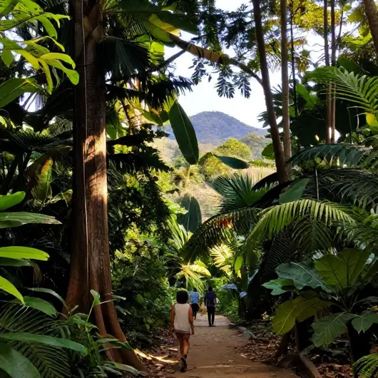 Explorando Trilhas em Belém: Aventura e Natureza na Amazônia