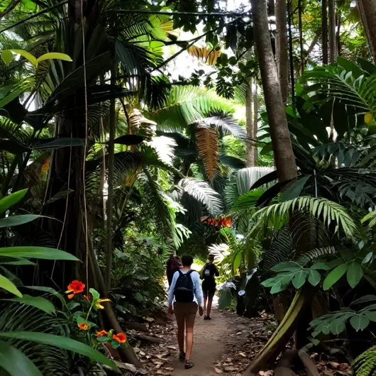 Explorando Trilhas em Belém: Aventura em Meio à Natureza