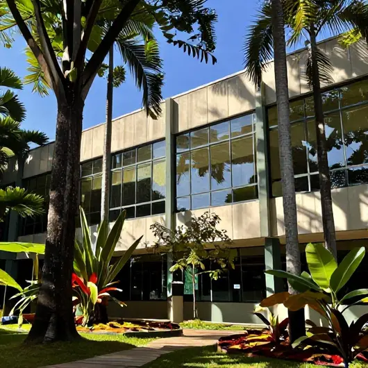 Instituto Amazonia Criativa