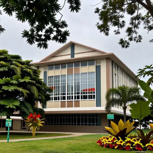 Instituto Dirson Costa de Arte e Cultura da Amazônia