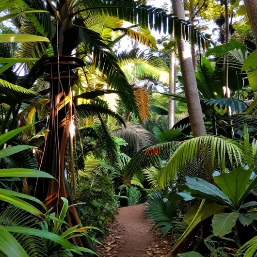 Mundo Gekos: Um Paraíso para os Amantes da Natureza
