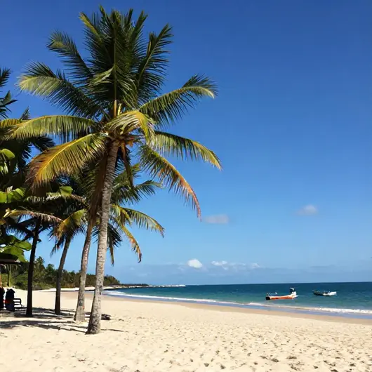 Praias Praias