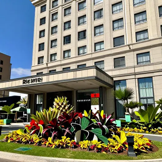 Radisson Hotel Maiorana Belém: Conforto e Sofisticação
