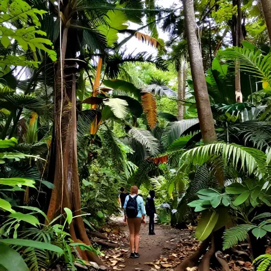 Trilhas Ecológicas em Belém: Uma Aventura pela Natureza Trilhas Ecológicas em Belém: Uma Aventura pela Natureza