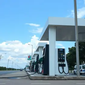 gasolina