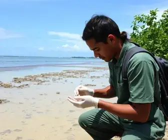 PNS tem coleta de biomarcadores na Ilha do Combu, em Belém Just a moment...